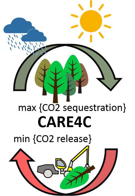 Logo CARE4C